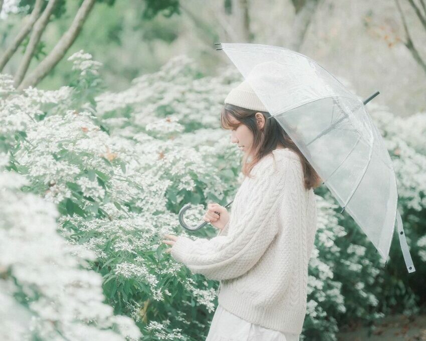 新社景點 桃李河畔