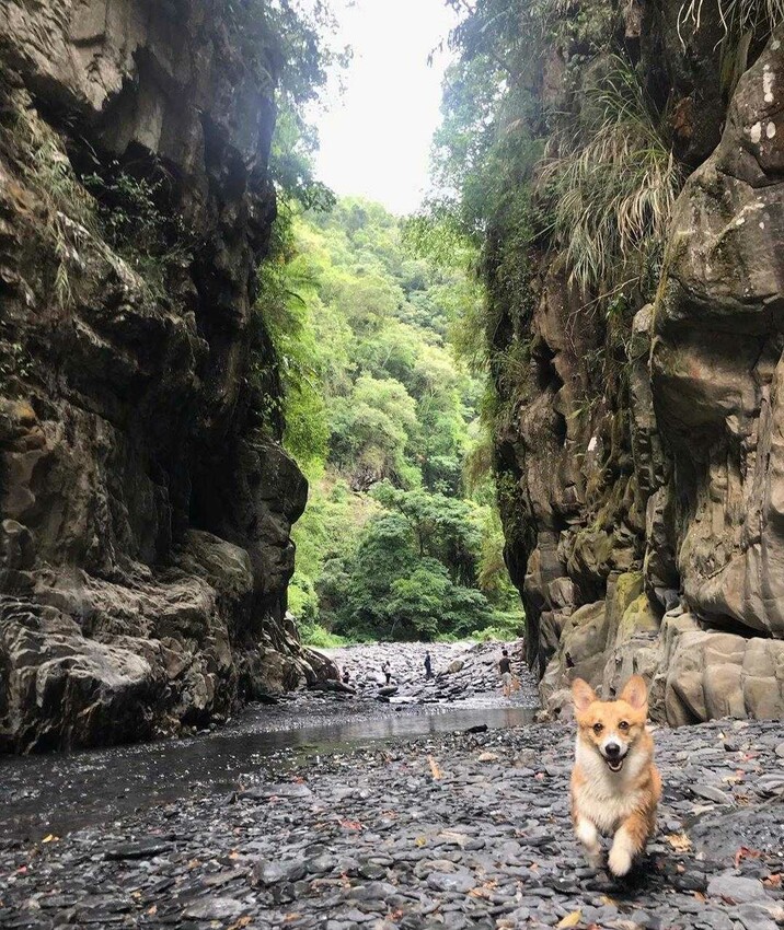 南投武界|武界一線天