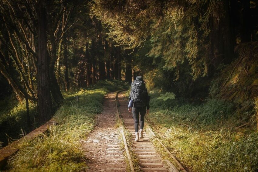 阿里山眠月線 大塔山步道