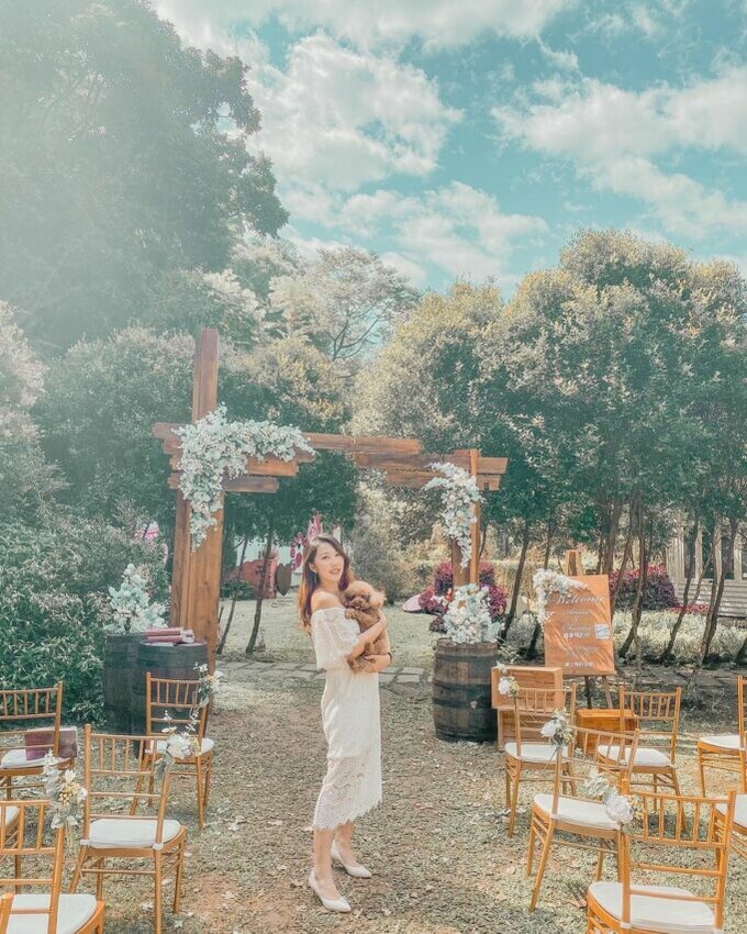 新社景點 安妮公主花園