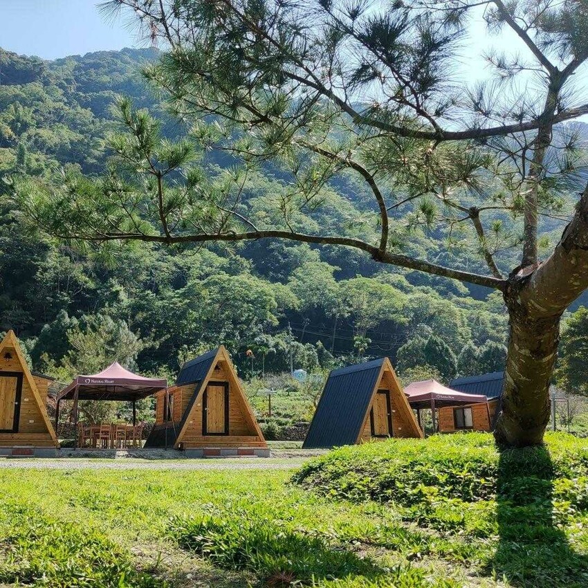 南投武界|武界松露露營區&小木屋