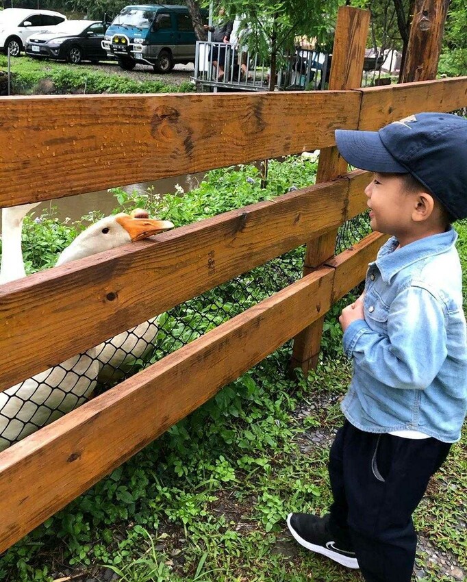 南投武界|武界松露露營區&小木屋