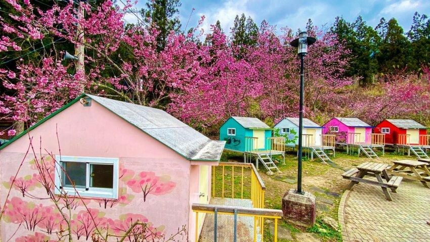 武陵農場露營 B區小木屋