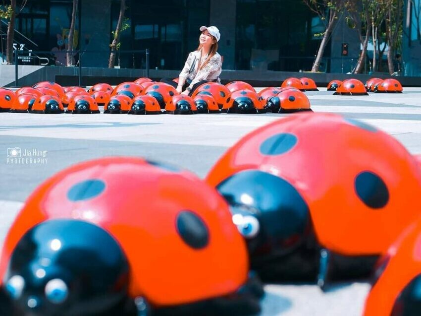 大里藝術廣場 台中霧峰怎麼去 霧峰景點 霧峰 霧峰一日遊