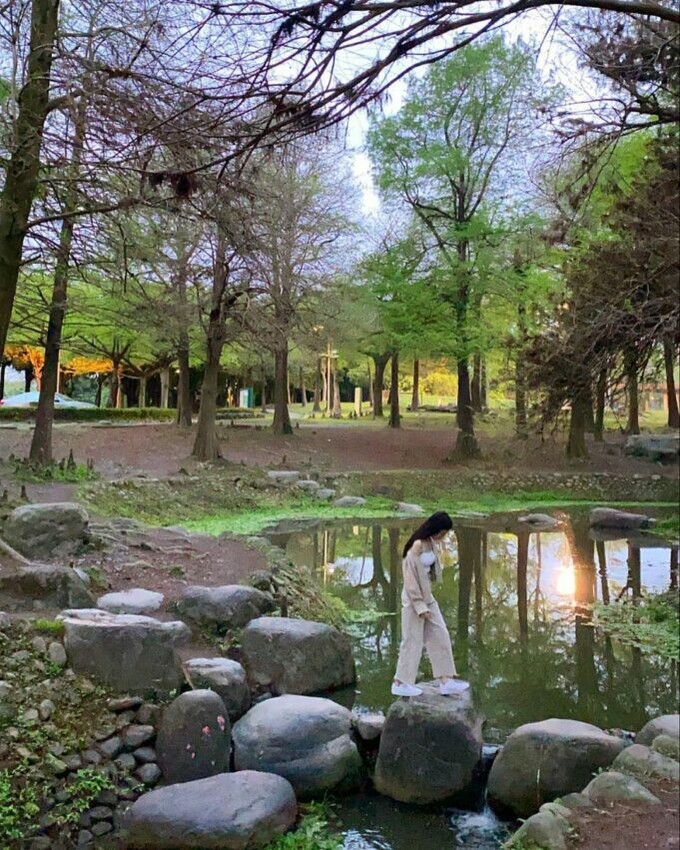 宜蘭景點|羅東景點推薦|羅東不只是林業文化園區,還有東丘落羽松、櫻花步道都在市區。到了晚上還有羅東夜市,集結了羅東美食、在地特色小吃