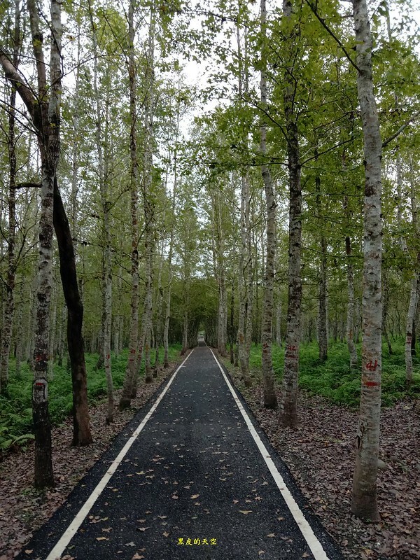 2020 1024花蓮放空放鬆偽出國三日遊018