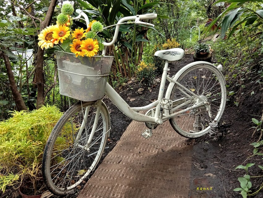 2020 1026花蓮壽豐IG打卡熱點的山度空間005