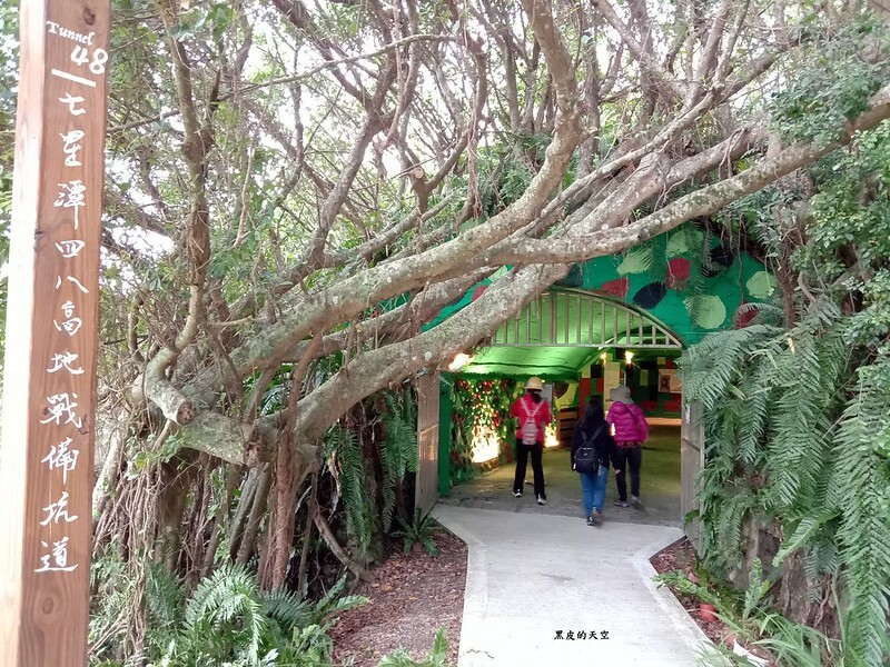 2020 1024花蓮放空放鬆偽出國三日遊005