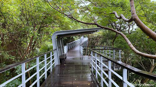 南山寺景觀平台~五分鐘步道360度無死角欣賞茶山與山嵐的美 @Bernice的隨手筆記