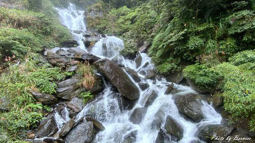 南山寺景觀平台~五分鐘步道360度無死角欣賞茶山與山嵐的美 @Bernice的隨手筆記