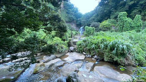 南山寺景觀平台~五分鐘步道360度無死角欣賞茶山與山嵐的美 @Bernice的隨手筆記