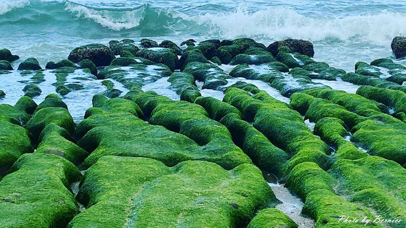 南山寺景觀平台~五分鐘步道360度無死角欣賞茶山與山嵐的美 @Bernice的隨手筆記