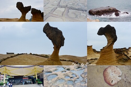 南山寺景觀平台~五分鐘步道360度無死角欣賞茶山與山嵐的美 @Bernice的隨手筆記