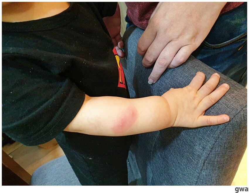 是電蚊拍也是捕蚊燈，家用露營必備的二合一電蚊拍！