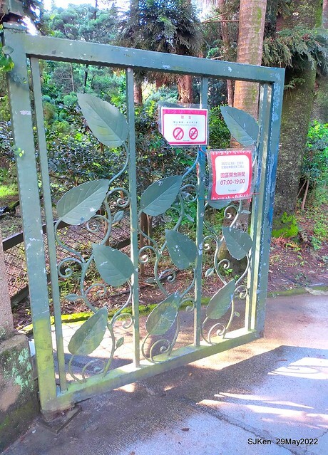 「台北植物園賞荷 」(Taipei Botanic garden Lotus pool), Taipei, Taiwan, SJKen, May 29, 2022.