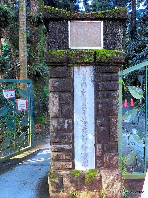 「台北植物園賞荷 」(Taipei Botanic garden Lotus pool), Taipei, Taiwan, SJKen, May 29, 2022.