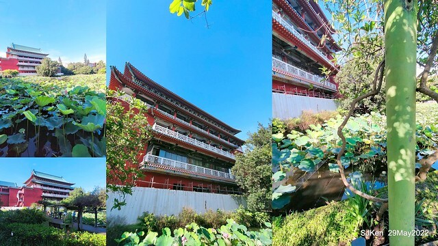 「台北植物園賞荷 」(Taipei Botanic garden Lotus pool), Taipei, Taiwan, SJKen, May 29, 2022.