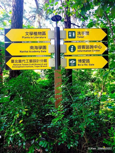 「台北植物園賞荷 」(Taipei Botanic garden Lotus pool), Taipei, Taiwan, SJKen, May 29, 2022.