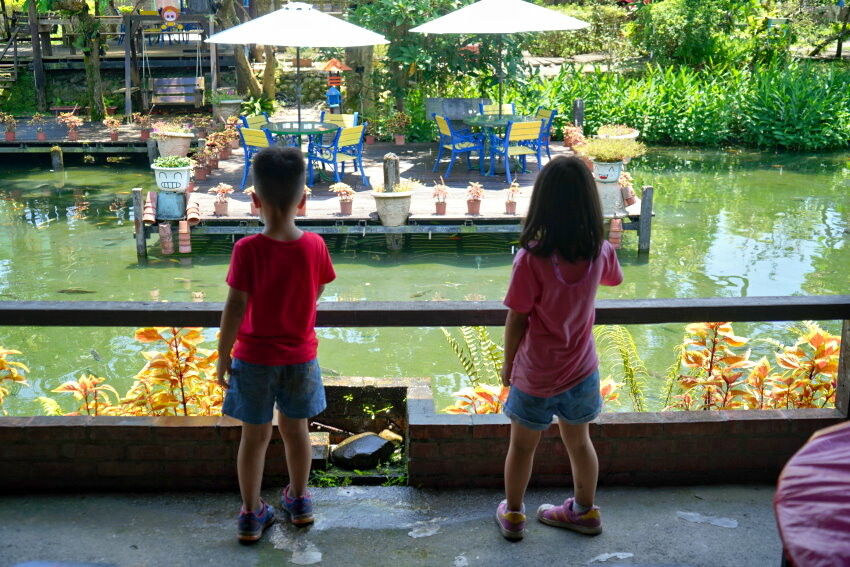 【宜蘭親子景點】廣興農場 鴨母寮豬哥窟．超詳細玩樂攻略!