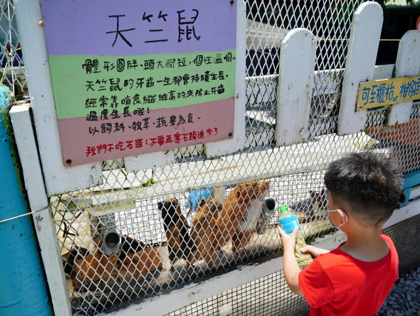 【宜蘭親子景點】廣興農場 鴨母寮豬哥窟．超詳細玩樂攻略!