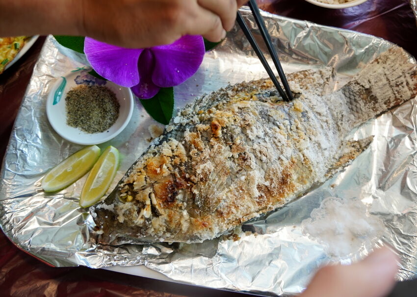 【宜蘭親子景點】廣興農場 鴨母寮豬哥窟．超詳細玩樂攻略!