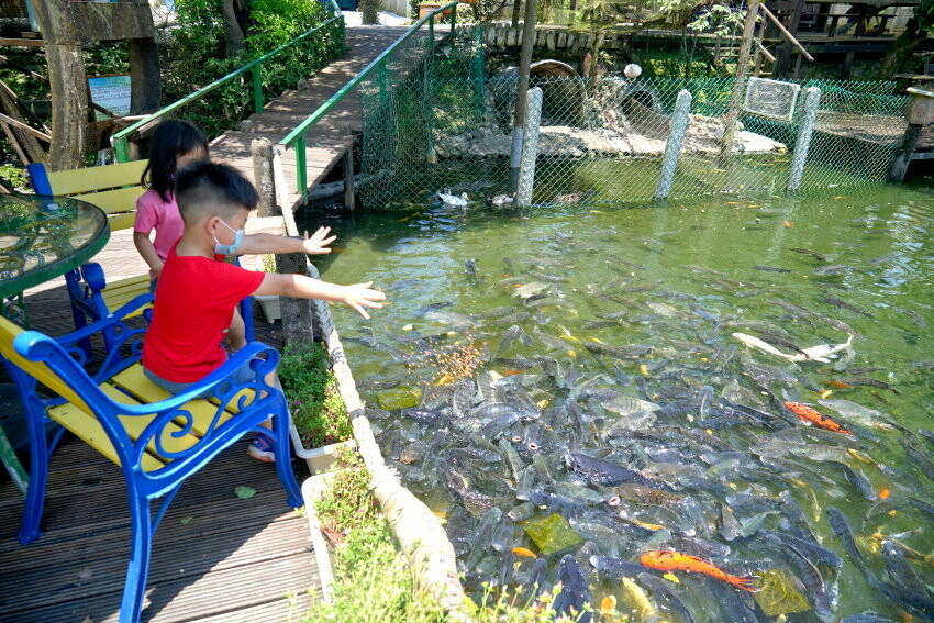 【宜蘭親子景點】廣興農場 鴨母寮豬哥窟．超詳細玩樂攻略!