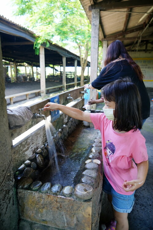 【宜蘭親子景點】廣興農場 鴨母寮豬哥窟．超詳細玩樂攻略!