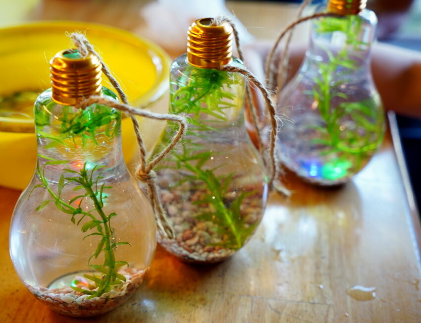 【宜蘭親子景點】廣興農場 鴨母寮豬哥窟．超詳細玩樂攻略!