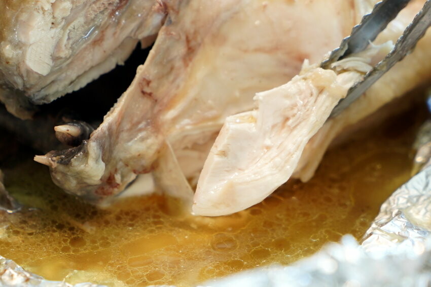 【宜蘭親子景點】廣興農場 鴨母寮豬哥窟．超詳細玩樂攻略!