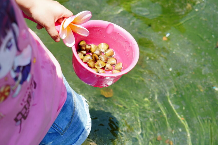 【宜蘭親子景點】廣興農場 鴨母寮豬哥窟．超詳細玩樂攻略!