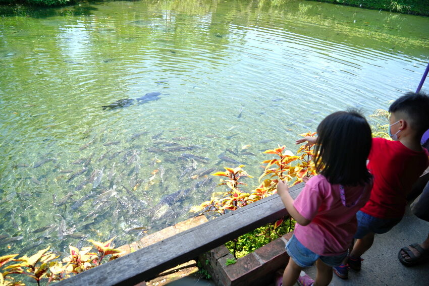 【宜蘭親子景點】廣興農場 鴨母寮豬哥窟．超詳細玩樂攻略!