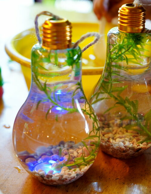 【宜蘭親子景點】廣興農場 鴨母寮豬哥窟．超詳細玩樂攻略!