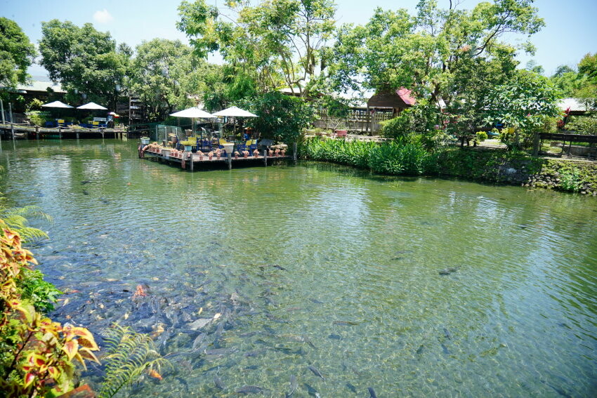 【宜蘭親子景點】廣興農場 鴨母寮豬哥窟．超詳細玩樂攻略!