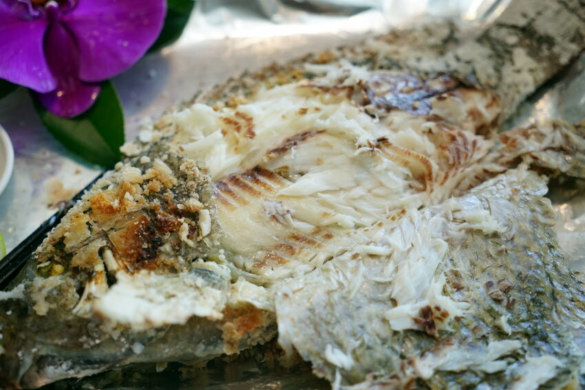 【宜蘭親子景點】廣興農場 鴨母寮豬哥窟．超詳細玩樂攻略!