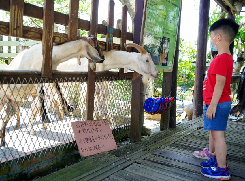 【宜蘭親子景點】廣興農場 鴨母寮豬哥窟．超詳細玩樂攻略!