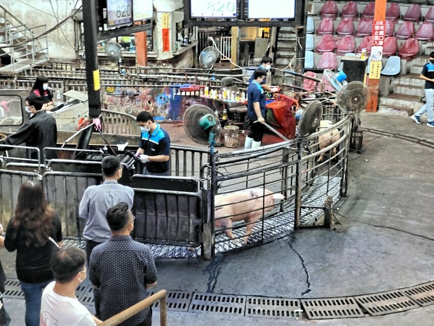 【雲林好物】崙背牛乳、雲饗豬．經嚴格把關，方便好吃又安心的在地美味!