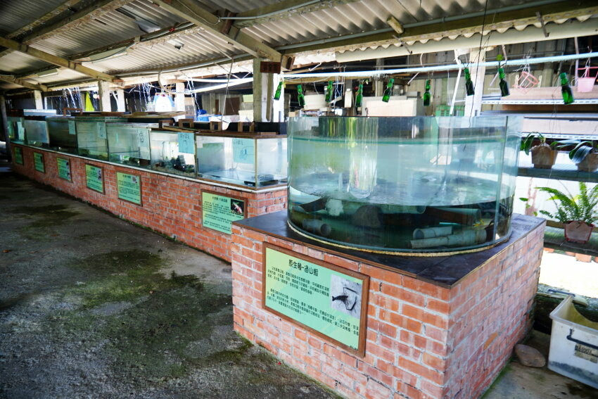 【宜蘭親子景點】廣興農場 鴨母寮豬哥窟．超詳細玩樂攻略!