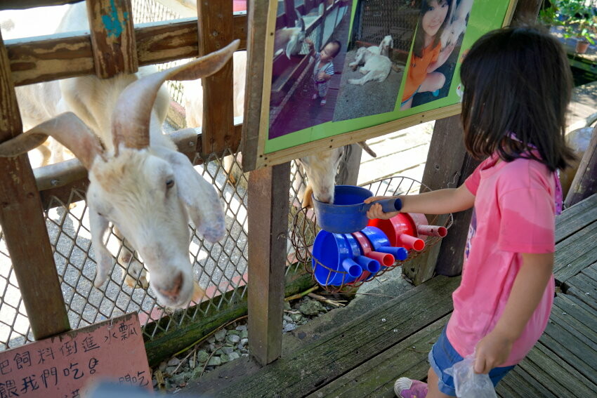 【宜蘭親子景點】廣興農場 鴨母寮豬哥窟．超詳細玩樂攻略!