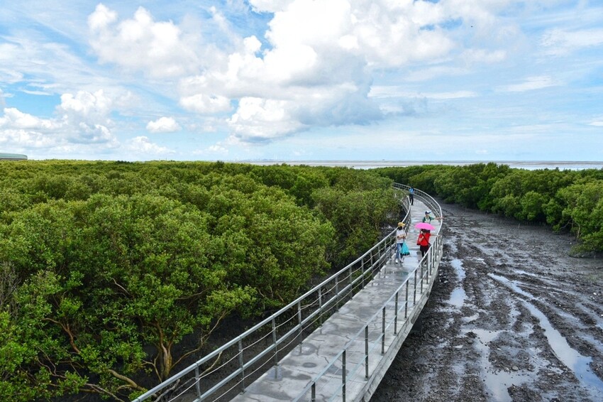 彰化芳苑鄉|海天一色夕照絕美秘境 芳苑濕地紅樹林 海空步道 海牛採蚵文化 彰化必遊景點推薦|西莉亞玩樂人生 0001-24.jpeg