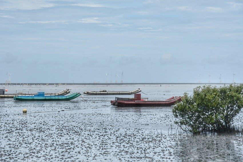 彰化芳苑鄉|海天一色夕照絕美秘境 芳苑濕地紅樹林 海空步道 海牛採蚵文化 彰化必遊景點推薦|西莉亞玩樂人生 0001-14.jpeg