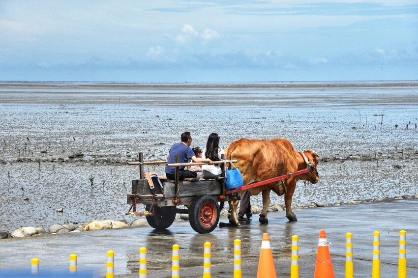 彰化芳苑鄉|海天一色夕照絕美秘境 芳苑濕地紅樹林 海空步道 海牛採蚵文化 彰化必遊景點推薦|西莉亞玩樂人生 0001-12.jpeg