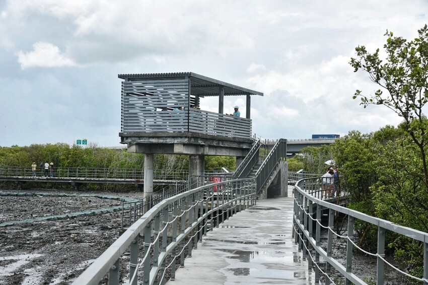 彰化芳苑鄉|海天一色夕照絕美秘境 芳苑濕地紅樹林 海空步道 海牛採蚵文化 彰化必遊景點推薦|西莉亞玩樂人生 0001-23.jpeg