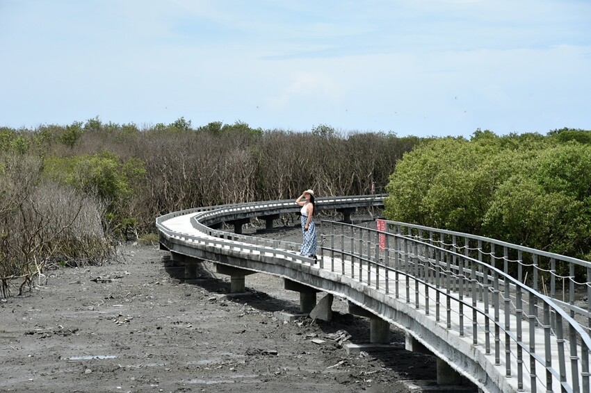 彰化芳苑鄉|海天一色夕照絕美秘境 芳苑濕地紅樹林 海空步道 海牛採蚵文化 彰化必遊景點推薦|西莉亞玩樂人生 0001-25.jpg
