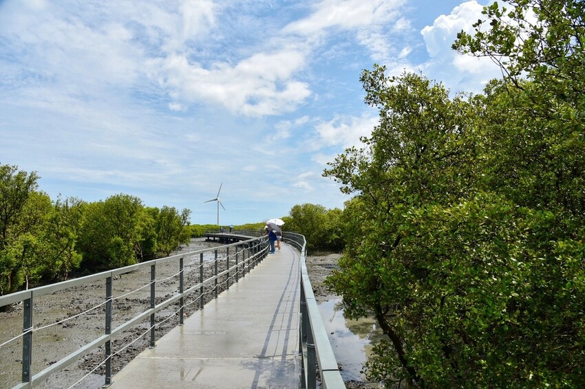 彰化芳苑鄉|海天一色夕照絕美秘境 芳苑濕地紅樹林 海空步道 海牛採蚵文化 彰化必遊景點推薦|西莉亞玩樂人生 0001-15.jpeg