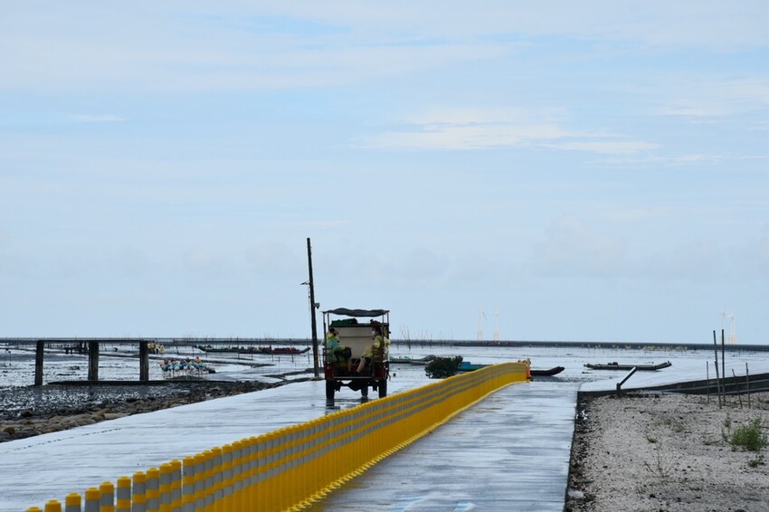 彰化芳苑鄉|海天一色夕照絕美秘境 芳苑濕地紅樹林 海空步道 海牛採蚵文化 彰化必遊景點推薦|西莉亞玩樂人生 0001-3.JPG