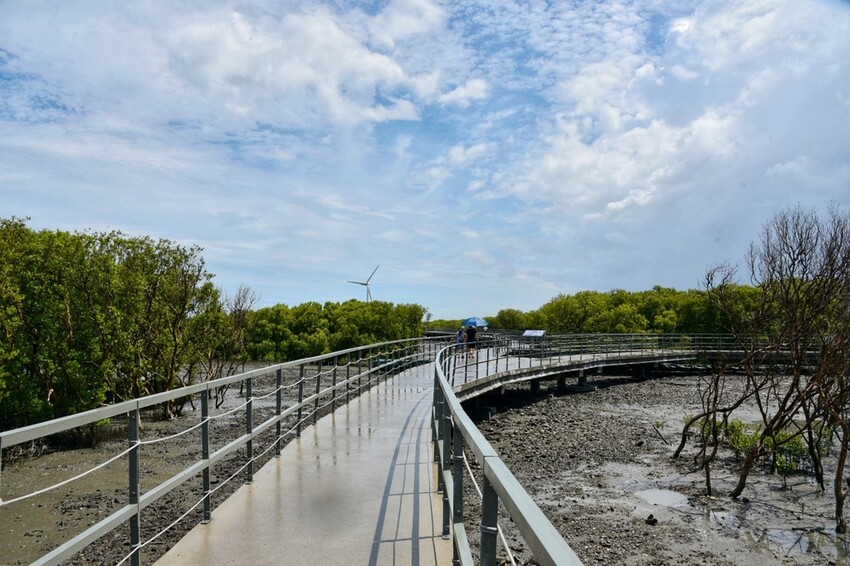 彰化芳苑鄉|海天一色夕照絕美秘境 芳苑濕地紅樹林 海空步道 海牛採蚵文化 彰化必遊景點推薦|西莉亞玩樂人生 0001-21.jpeg