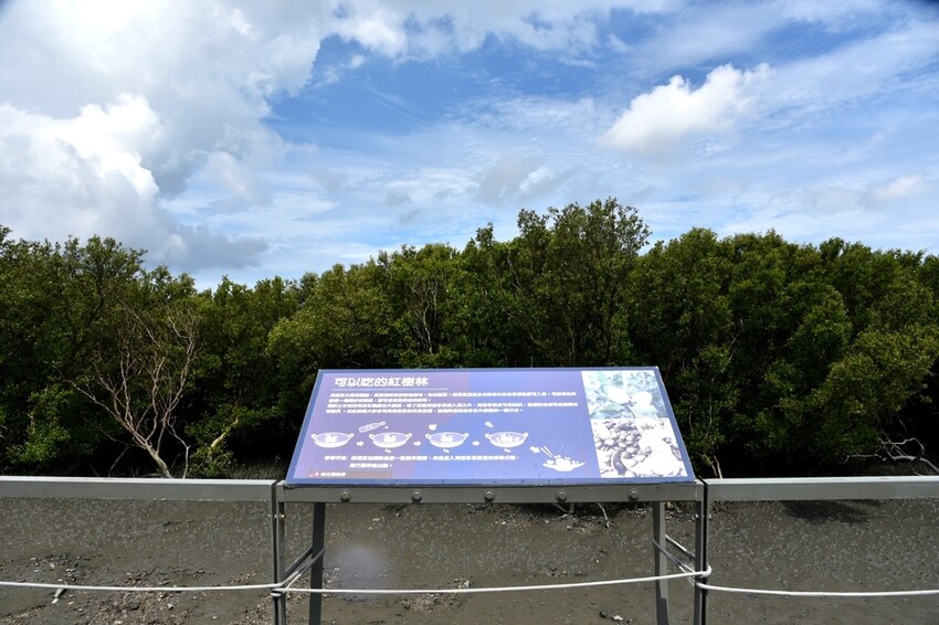 彰化芳苑鄉|海天一色夕照絕美秘境 芳苑濕地紅樹林 海空步道 海牛採蚵文化 彰化必遊景點推薦|西莉亞玩樂人生 0001-18.JPG