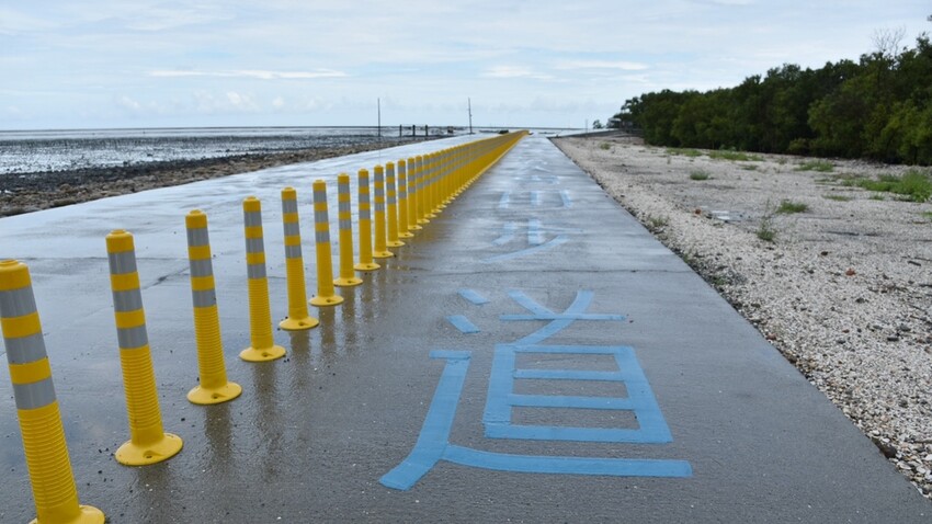 彰化芳苑鄉|海天一色夕照絕美秘境 芳苑濕地紅樹林 海空步道 海牛採蚵文化 彰化必遊景點推薦|西莉亞玩樂人生 0001-4.JPG