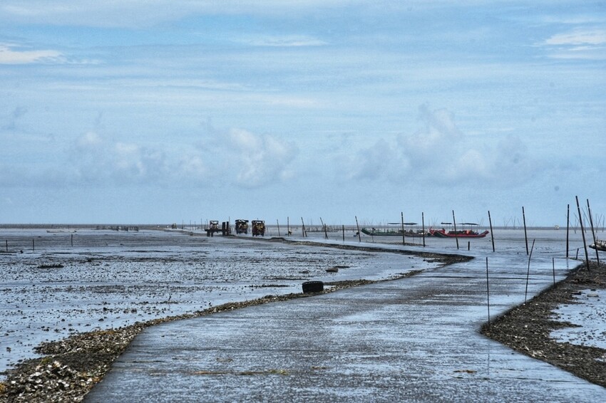 彰化芳苑鄉|海天一色夕照絕美秘境 芳苑濕地紅樹林 海空步道 海牛採蚵文化 彰化必遊景點推薦|西莉亞玩樂人生 0001-6.jpeg