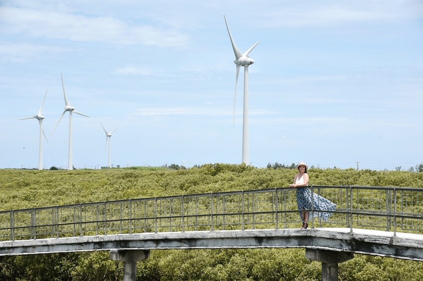 彰化芳苑鄉|海天一色夕照絕美秘境 芳苑濕地紅樹林 海空步道 海牛採蚵文化 彰化必遊景點推薦|西莉亞玩樂人生 0001-28.jpg